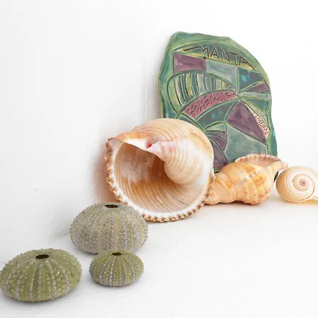 Manta 住宿加早餐酒店 阿拉恰特