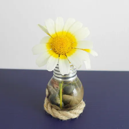 住宿加早餐酒店 Manta