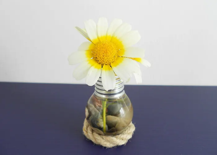 Alojamento de Acomodação e Pequeno-almoço Manta