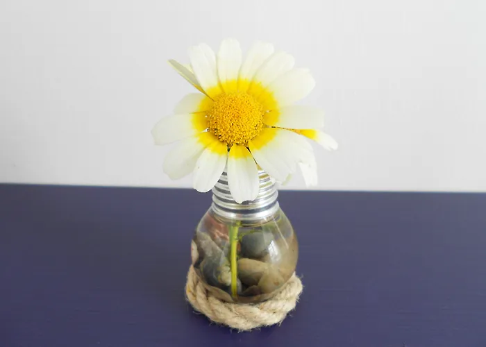 Bed & Breakfast Manta