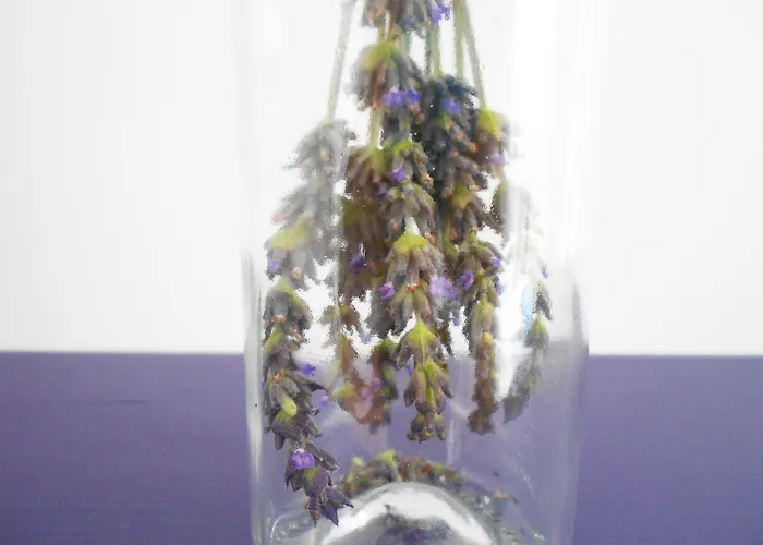 Bed & Breakfast Manta Alaçatı